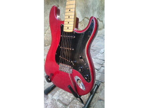 Fender Stratocaster [1965-1984] (20241)