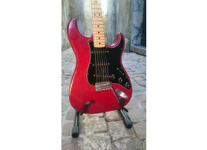 Fender Stratocaster [1965-1984] (57474)