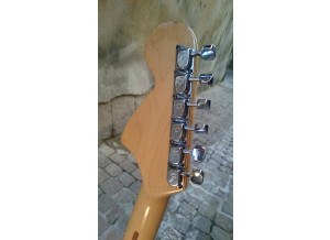Fender Stratocaster [1965-1984] (79391)