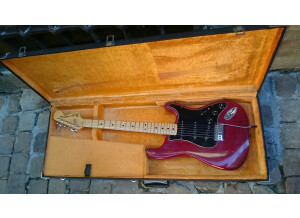 Fender Stratocaster [1965-1984] (23514)