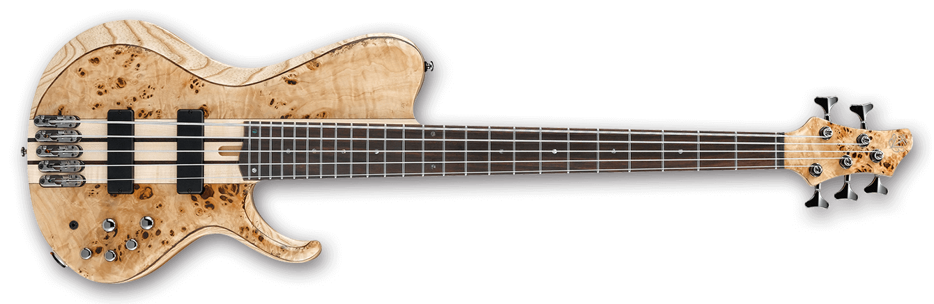 Ibanez BTB845SC : BTB845SC NTL 1P 01