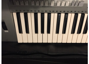 Yamaha PSR-S910 (6087)