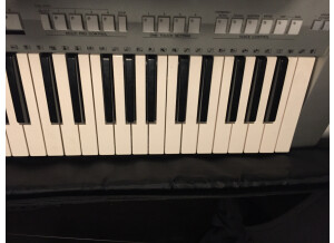 Yamaha PSR-S910 (39987)