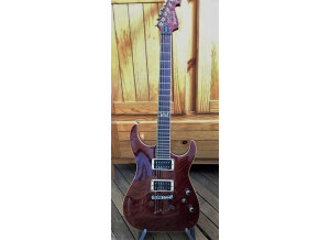 Elypse Guitars X500 Pro (15057)