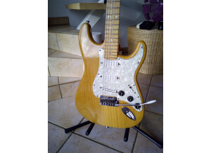 Fender Special Edition Lite Ash Stratocaster (41088)