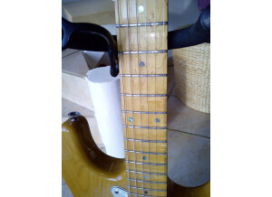 Fender Special Edition Lite Ash Stratocaster (37427)