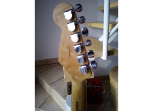 Fender Special Edition Lite Ash Stratocaster (61934)