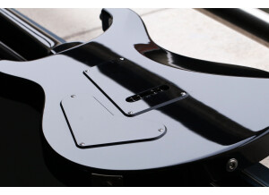 PRS S2 Custom 22 - Gray Black (21907)