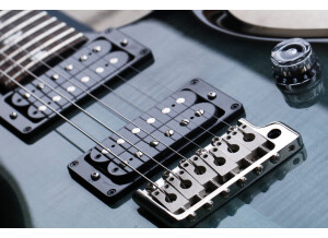 PRS S2 Custom 22 - Gray Black (14461)