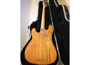 Fender Telecaster Bass [1971-1979] (9875)