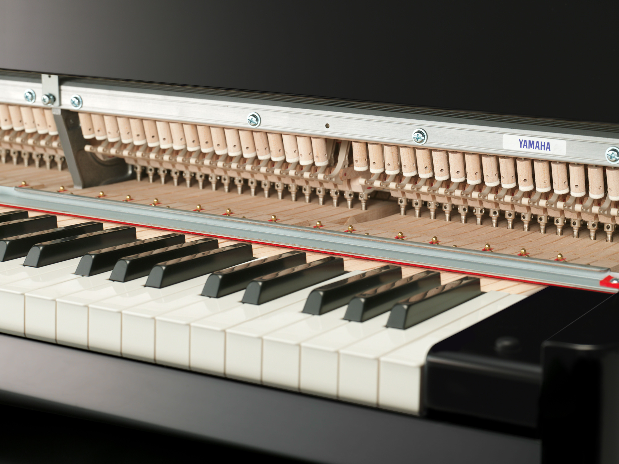 avantgrand n3x p 0004 f