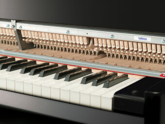 avantgrand n3x p 0004 f avantgrand n3x p 0004 f