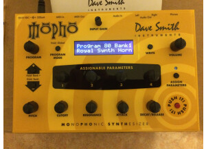 Dave Smith Instruments Mopho (91852)