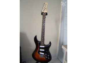 Variax standard