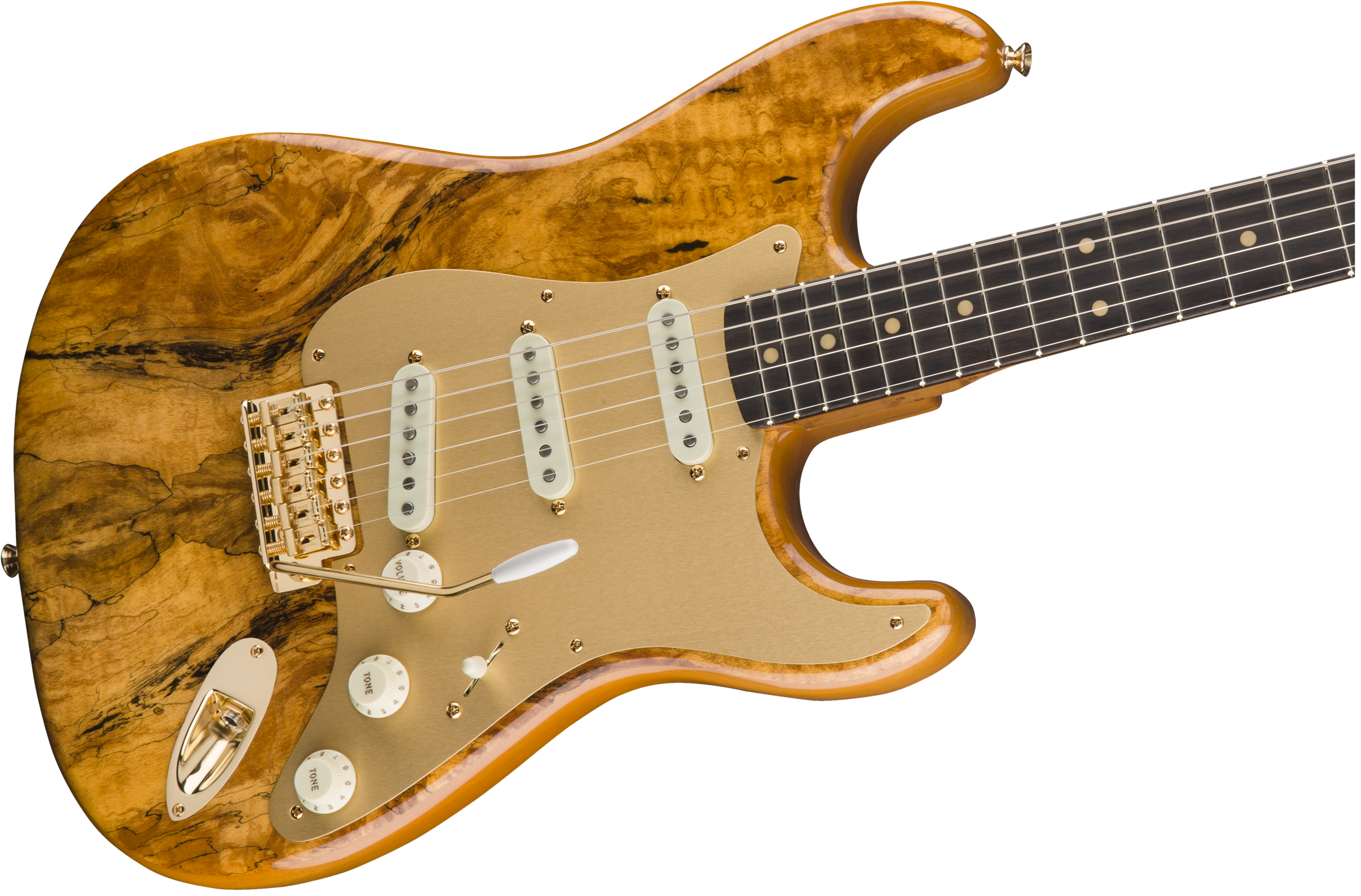Fender Artisan Spalted Maple Stratocaster : 1521070821 gtr cntbdyright 001 nr