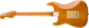 Fender Artisan Spalted Maple Stratocaster : 1521070821 gtr back 001 rl