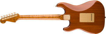 Fender Artisan Figured Rosewood Stratocaster : 1521090821 gtr back 001 rl