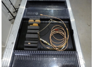 DPA Microphones 4066 F (43356)