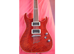 Elypse Guitars X500 Pro (43003)