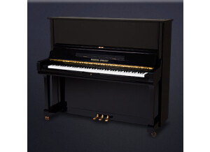 XLN Audio Addictive Keys Modern Upright