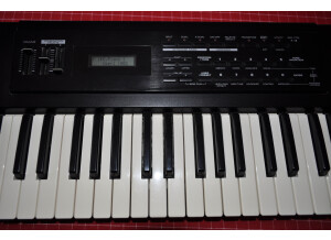 Roland XP-10 (35302)