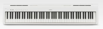 ES110 White ES110 White