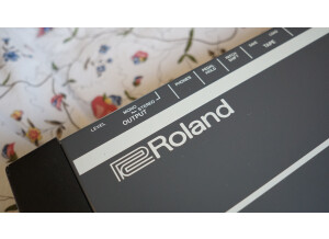 Roland JUNO-106 (9461)