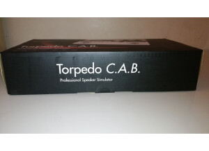 Two Notes Audio Engineering Torpedo C.A.B. (Cabinets in A Box) (177)