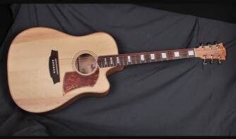 Cole Clark FL2AC Bunya/Maple
