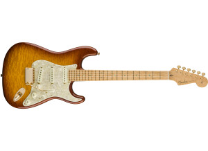 Fender J.W. Black Founders Design Stratocaster