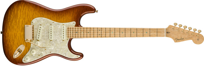 Fender J.W. Black Founders Design Stratocaster : FOUNDERS DESIGN STRATOCASTER JB