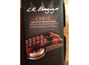 L.R. Baggs Lyric (51152)