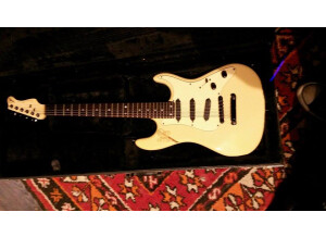 Valley Arts Guitars Custom Pro (37708)