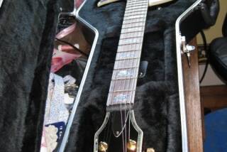 LTD EC-1000 See Thru Black Cherry