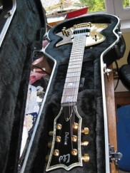 LTD EC-1000 See Thru Black Cherry