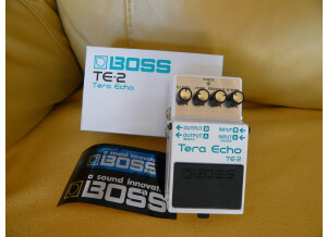 Boss TE-2 Tera Echo (61166)