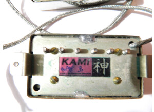 Kami Micros no PAF (36476)