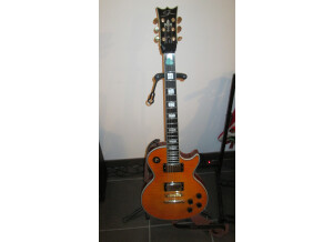 SR Guitars SRLP Luxe - Honey Burst Flamed (75297)