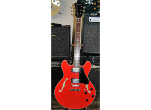 Eastman T386 (70599)