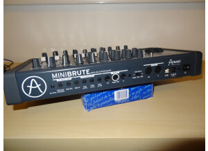 Arturia MiniBrute (2341)