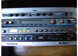 Roland SDE-1000 (86930)