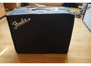 Fender '65 Princeton Reverb [2008-Current] (27001)
