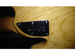 Fender American Deluxe Precision Bass [2010-2015] (76883)