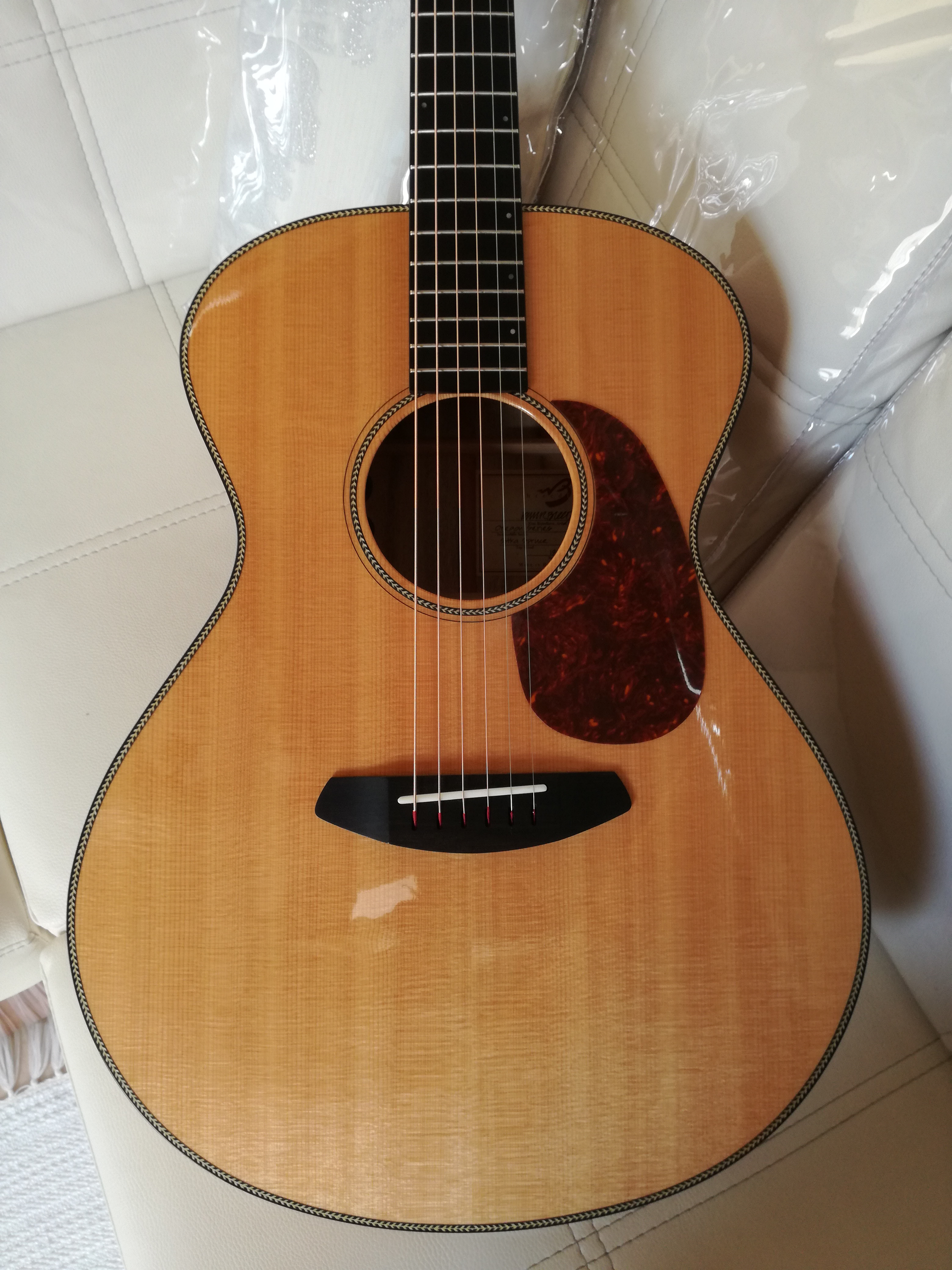 Breedlove Oregon Concert