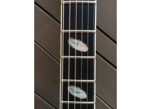 Caparison Orbit FX