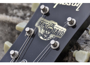 Gibson Les Paul Joe Perry Signature Boneyard
