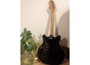 Fender Special Edition Coronado Guitar (87198)