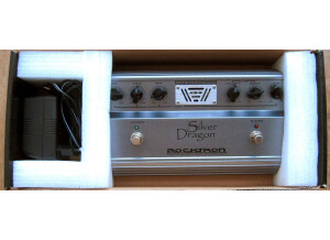 Rocktron Silver Dragon