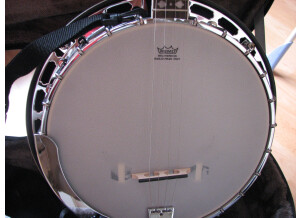 Ashbury Banjo AB45T (22730)