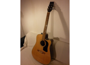 Washburn D10SCE (48446)